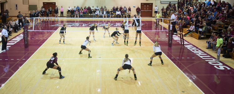 volleyball-camp