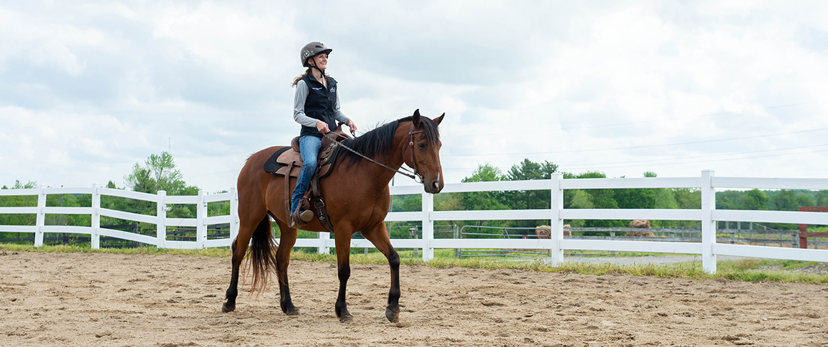 SIU Equine Student riding a horse