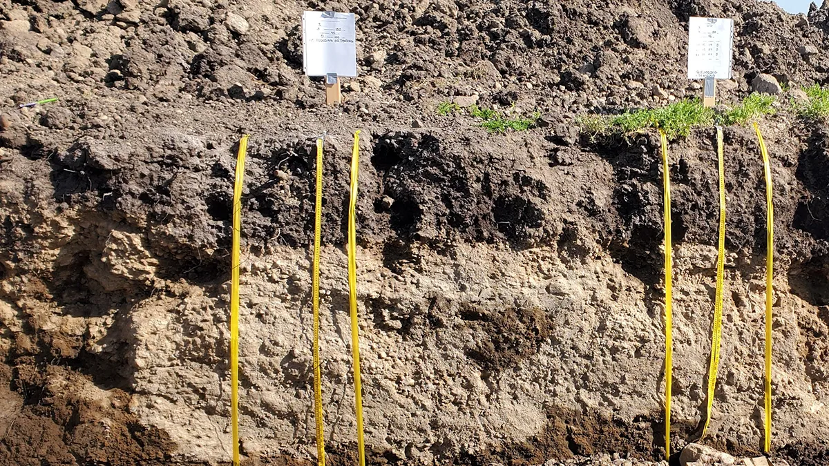 soil-judging-banner