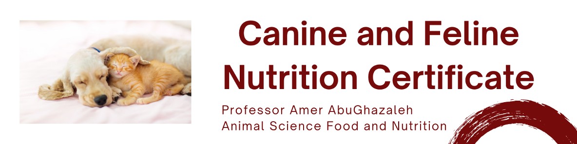 Canine and Feline Nutrition Certificate | Conference Services | SIU